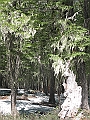 Patagonie 416